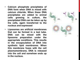 • Calcium phosphate precipitates of
DNA form when DNA is mixed with
calcium chloride. When these DNA
precipitates are added to animal
cells growing in culture, the
precipitated DNA can be taken up by
the cells, again transferred to the
nucleus and expressed
• Liposomes are artificial membranes
that can be formed in a test tube.
DNA can be mixed with the
liposome preparation under the
appropriate conditions. This results
in the encapsulation of DNA into
synthetic lipid membranes. When
this membrane fuses with the cell
plasmamembrane, DNA is released
into the cell and somehow ends up
in the nucleus.
 