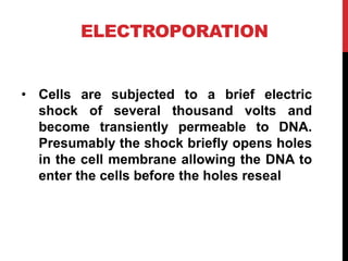 ELECTROPORATION
• Cells are subjected to a brief electric
shock of several thousand volts and
become transiently permeable to DNA.
Presumably the shock briefly opens holes
in the cell membrane allowing the DNA to
enter the cells before the holes reseal
 