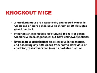 Knock out mice