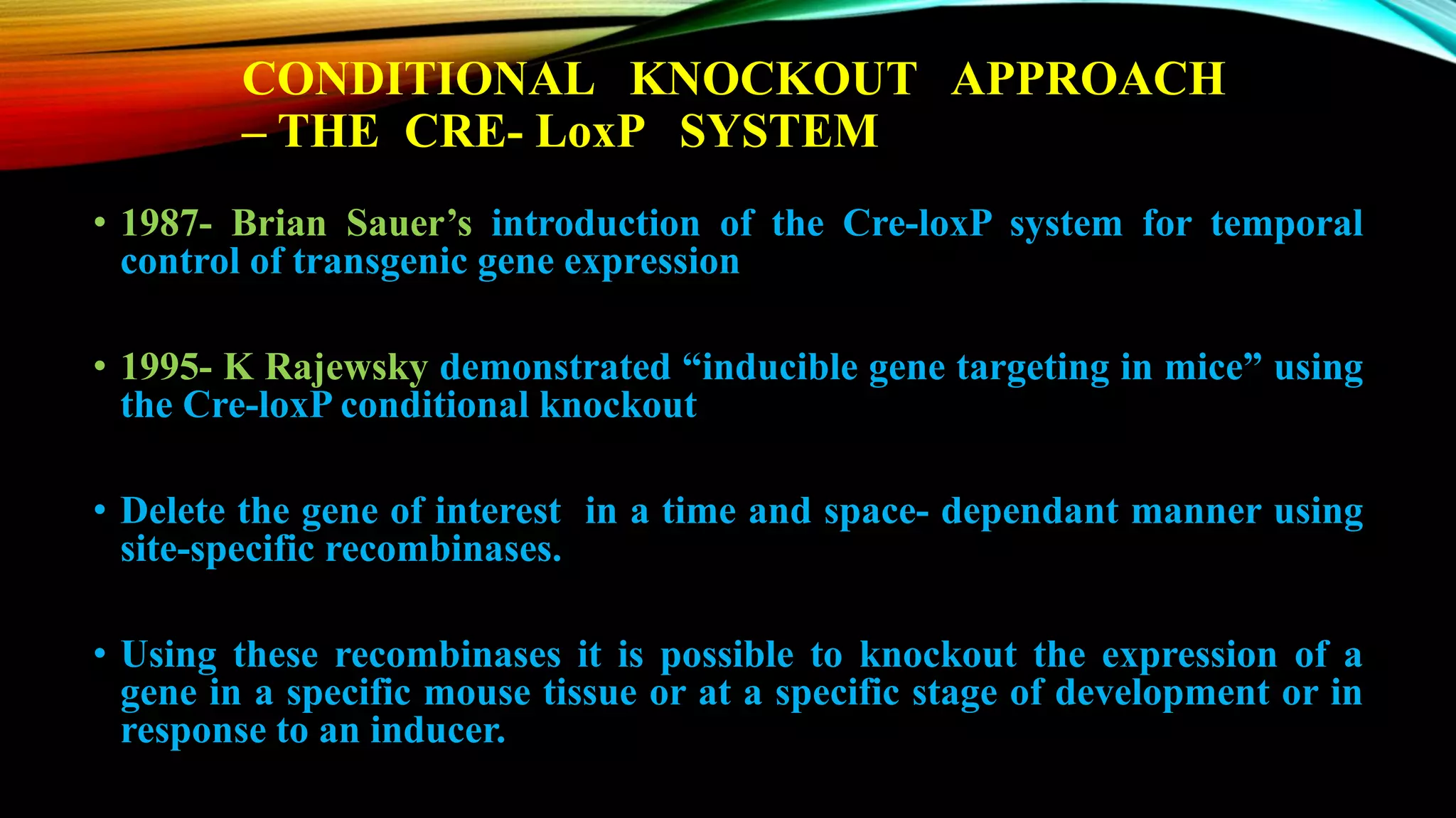 CONDITIONAL KNOCKOUT APPROACH
– THE CRE- LoxP SYSTEM
• 1987- Brian Sauer’s introduction of the Cre-loxP system for temporal
control of transgenic gene expression
• 1995- K Rajewsky demonstrated “inducible gene targeting in mice” using
the Cre-loxP conditional knockout
• Delete the gene of interest in a time and space- dependant manner using
site-specific recombinases.
• Using these recombinases it is possible to knockout the expression of a
gene in a specific mouse tissue or at a specific stage of development or in
response to an inducer.
 