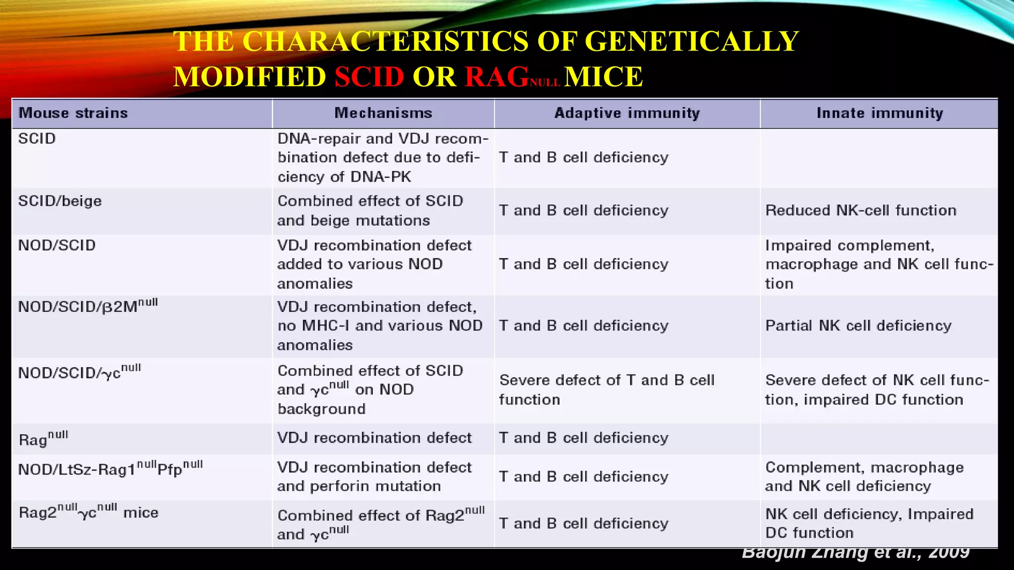 THE CHARACTERISTICS OF GENETICALLY
MODIFIED SCID OR RAGNULL MICE
Baojun Zhang et al., 2009
 