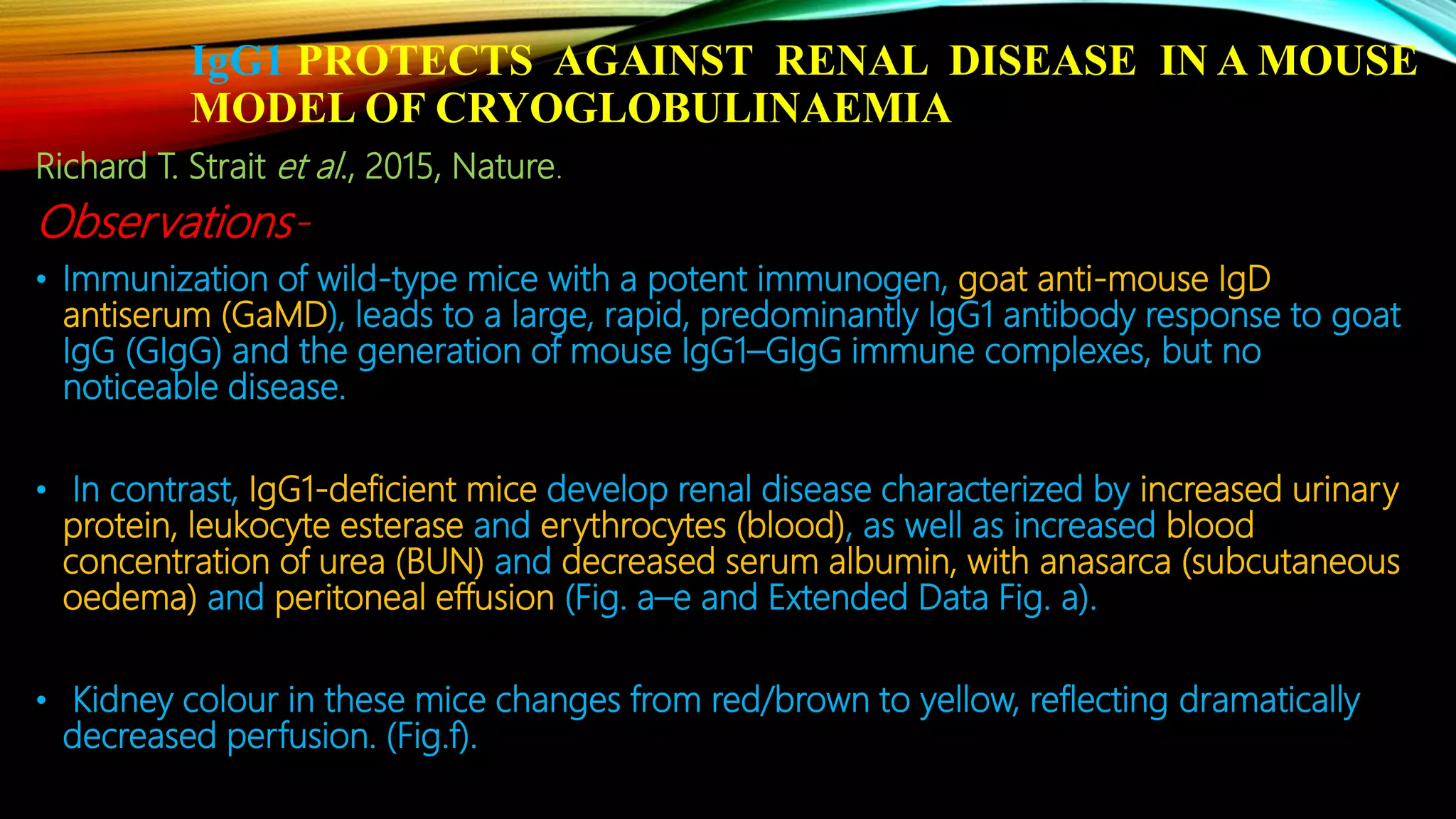 IgG1 PROTECTS AGAINST RENAL DISEASE IN A MOUSE
MODEL OF CRYOGLOBULINAEMIA
Richard T. Strait et al., 2015, Nature.
Observations-
• Immunization of wild-type mice with a potent immunogen, goat anti-mouse IgD
antiserum (GaMD), leads to a large, rapid, predominantly IgG1 antibody response to goat
IgG (GIgG) and the generation of mouse IgG1–GIgG immune complexes, but no
noticeable disease.
• In contrast, IgG1-deficient mice develop renal disease characterized by increased urinary
protein, leukocyte esterase and erythrocytes (blood), as well as increased blood
concentration of urea (BUN) and decreased serum albumin, with anasarca (subcutaneous
oedema) and peritoneal effusion (Fig. a–e and Extended Data Fig. a).
• Kidney colour in these mice changes from red/brown to yellow, reflecting dramatically
decreased perfusion. (Fig.f).
 