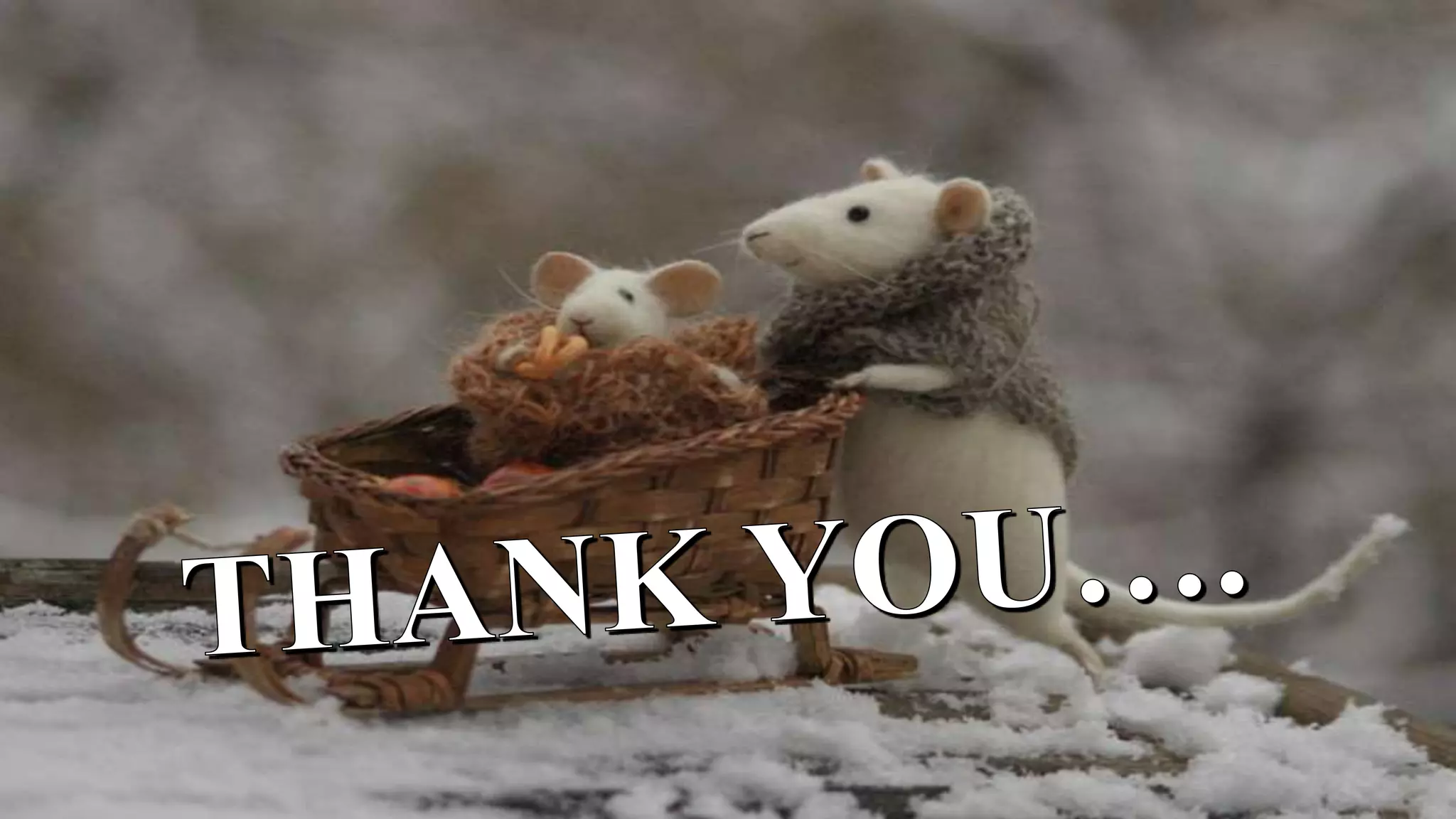 Knock out mice production and its applications