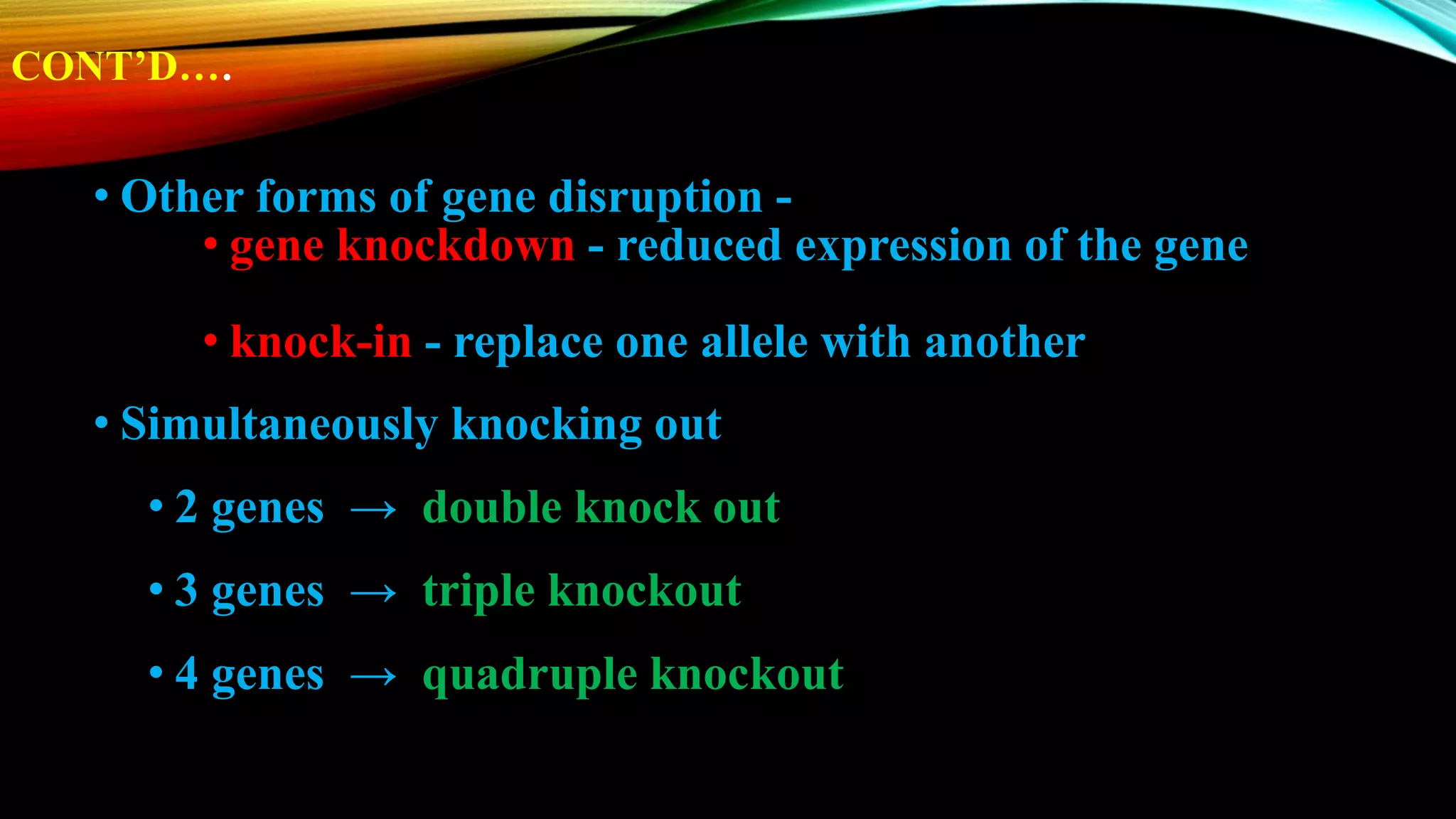 CONT’D….
• Other forms of gene disruption -
• gene knockdown - reduced expression of the gene
• knock-in - replace one allele with another
• Simultaneously knocking out
• 2 genes → double knock out
• 3 genes → triple knockout
• 4 genes → quadruple knockout
 