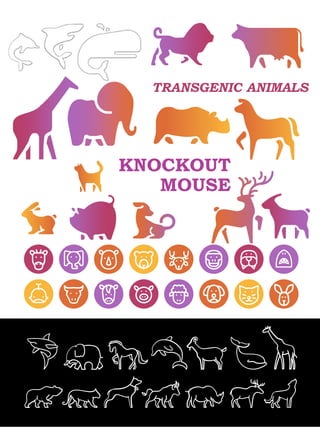 KNOCKOUT
MOUSE
TRANSGENIC ANIMALS
bea
 