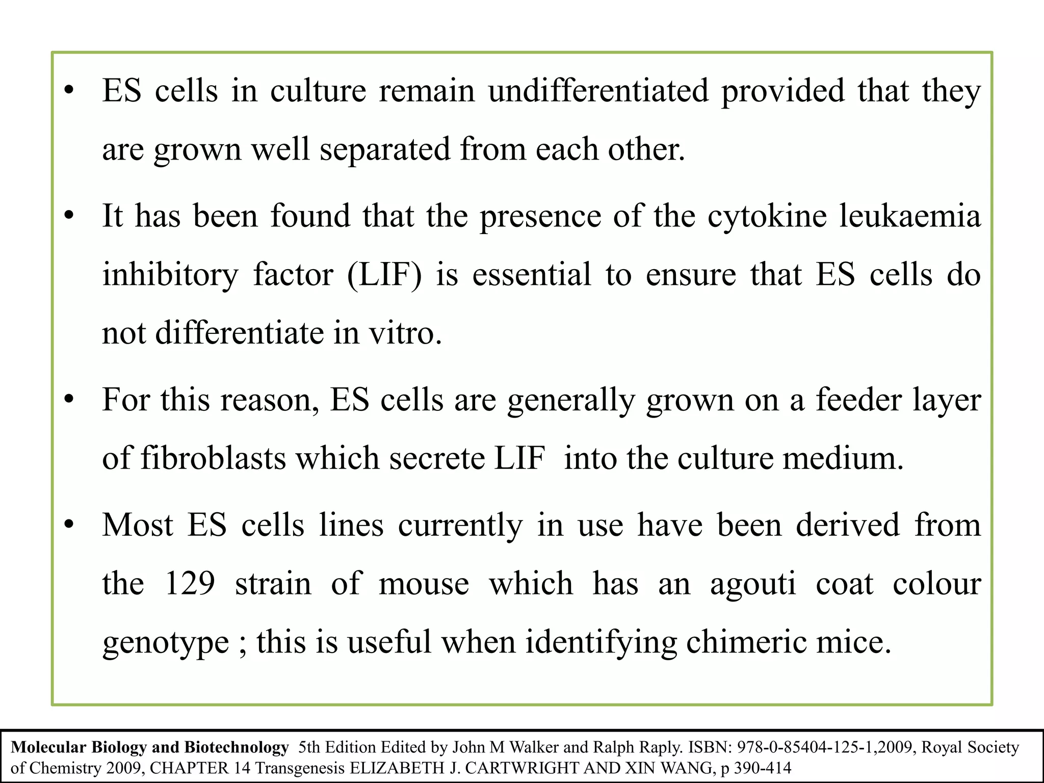 • ES cells in culture remain undifferentiated provided that they
are grown well separated from each other.
• It has been found that the presence of the cytokine leukaemia
inhibitory factor (LIF) is essential to ensure that ES cells do
not differentiate in vitro.
• For this reason, ES cells are generally grown on a feeder layer
of fibroblasts which secrete LIF into the culture medium.
• Most ES cells lines currently in use have been derived from
the 129 strain of mouse which has an agouti coat colour
genotype ; this is useful when identifying chimeric mice.
Molecular Biology and Biotechnology 5th Edition Edited by John M Walker and Ralph Raply. ISBN: 978-0-85404-125-1,2009, Royal Society
of Chemistry 2009, CHAPTER 14 Transgenesis ELIZABETH J. CARTWRIGHT AND XIN WANG, p 390-414
 