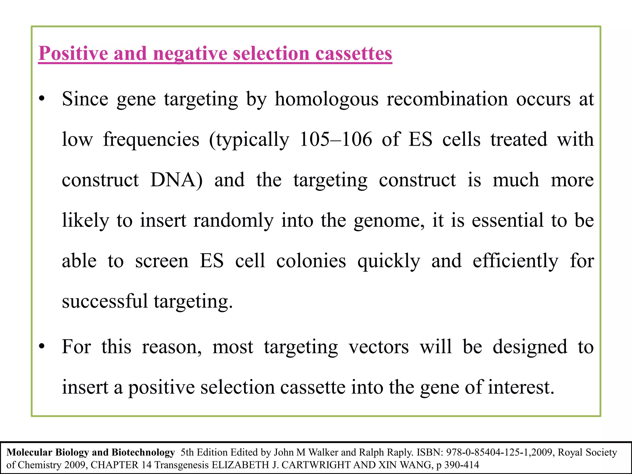 Positive and negative selection cassettes
• Since gene targeting by homologous recombination occurs at
low frequencies (typically 105–106 of ES cells treated with
construct DNA) and the targeting construct is much more
likely to insert randomly into the genome, it is essential to be
able to screen ES cell colonies quickly and efficiently for
successful targeting.
• For this reason, most targeting vectors will be designed to
insert a positive selection cassette into the gene of interest.
Molecular Biology and Biotechnology 5th Edition Edited by John M Walker and Ralph Raply. ISBN: 978-0-85404-125-1,2009, Royal Society
of Chemistry 2009, CHAPTER 14 Transgenesis ELIZABETH J. CARTWRIGHT AND XIN WANG, p 390-414
 