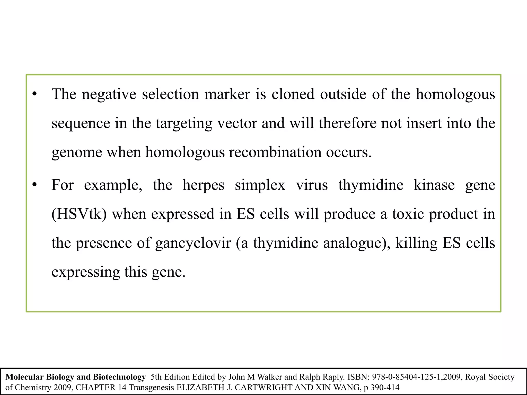 • The negative selection marker is cloned outside of the homologous
sequence in the targeting vector and will therefore not insert into the
genome when homologous recombination occurs.
• For example, the herpes simplex virus thymidine kinase gene
(HSVtk) when expressed in ES cells will produce a toxic product in
the presence of gancyclovir (a thymidine analogue), killing ES cells
expressing this gene.
Molecular Biology and Biotechnology 5th Edition Edited by John M Walker and Ralph Raply. ISBN: 978-0-85404-125-1,2009, Royal Society
of Chemistry 2009, CHAPTER 14 Transgenesis ELIZABETH J. CARTWRIGHT AND XIN WANG, p 390-414
 