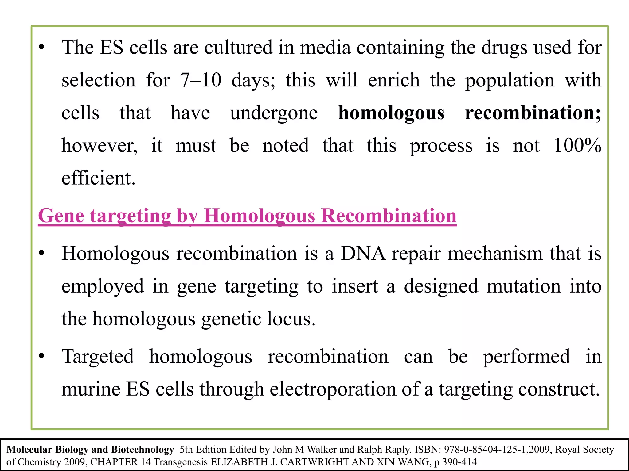 • The ES cells are cultured in media containing the drugs used for
selection for 7–10 days; this will enrich the population with
cells that have undergone homologous recombination;
however, it must be noted that this process is not 100%
efficient.
Gene targeting by Homologous Recombination
• Homologous recombination is a DNA repair mechanism that is
employed in gene targeting to insert a designed mutation into
the homologous genetic locus.
• Targeted homologous recombination can be performed in
murine ES cells through electroporation of a targeting construct.
Molecular Biology and Biotechnology 5th Edition Edited by John M Walker and Ralph Raply. ISBN: 978-0-85404-125-1,2009, Royal Society
of Chemistry 2009, CHAPTER 14 Transgenesis ELIZABETH J. CARTWRIGHT AND XIN WANG, p 390-414
 