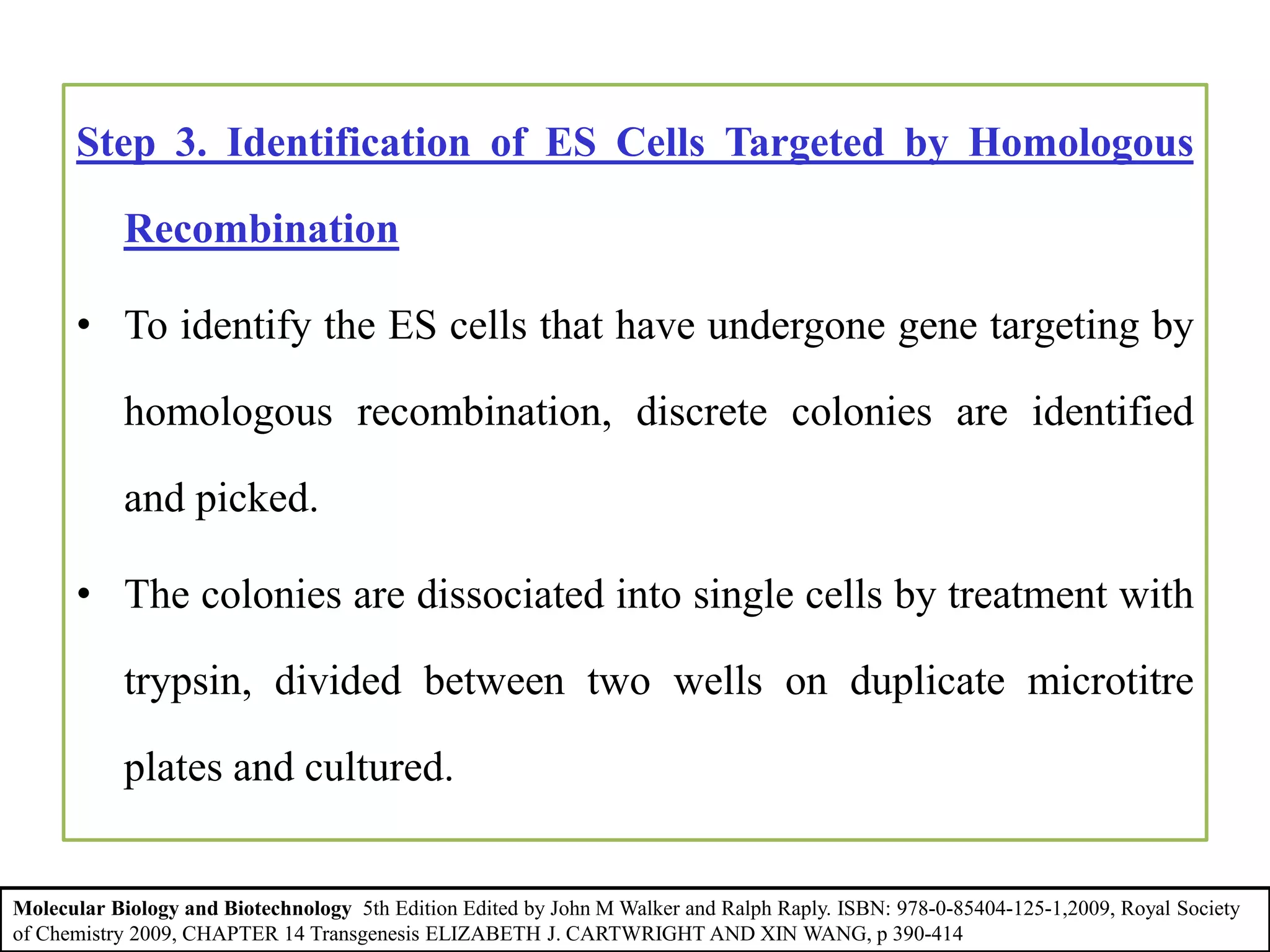 Step 3. Identification of ES Cells Targeted by Homologous
Recombination
• To identify the ES cells that have undergone gene targeting by
homologous recombination, discrete colonies are identified
and picked.
• The colonies are dissociated into single cells by treatment with
trypsin, divided between two wells on duplicate microtitre
plates and cultured.
Molecular Biology and Biotechnology 5th Edition Edited by John M Walker and Ralph Raply. ISBN: 978-0-85404-125-1,2009, Royal Society
of Chemistry 2009, CHAPTER 14 Transgenesis ELIZABETH J. CARTWRIGHT AND XIN WANG, p 390-414
 