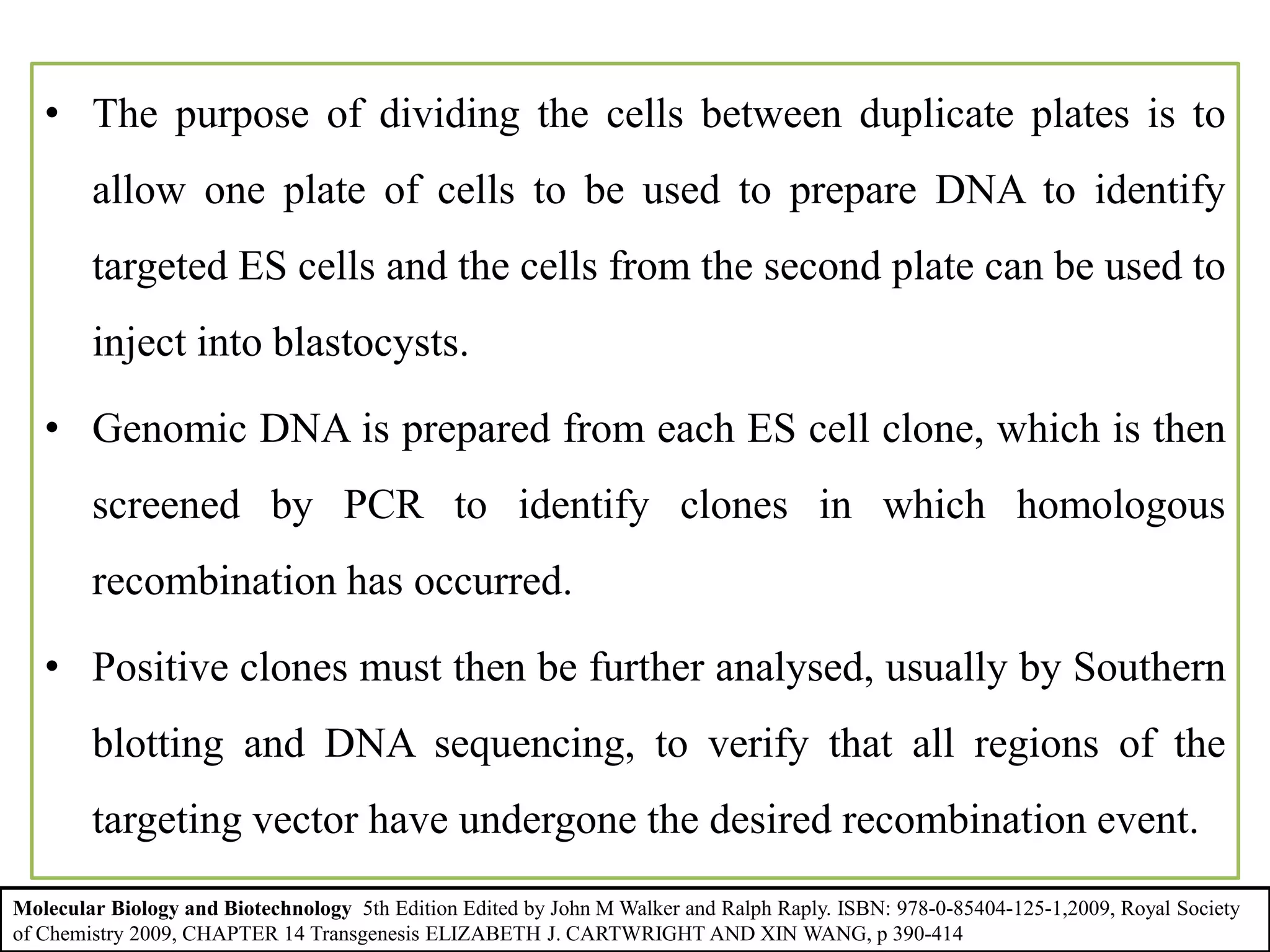 • The purpose of dividing the cells between duplicate plates is to
allow one plate of cells to be used to prepare DNA to identify
targeted ES cells and the cells from the second plate can be used to
inject into blastocysts.
• Genomic DNA is prepared from each ES cell clone, which is then
screened by PCR to identify clones in which homologous
recombination has occurred.
• Positive clones must then be further analysed, usually by Southern
blotting and DNA sequencing, to verify that all regions of the
targeting vector have undergone the desired recombination event.
Molecular Biology and Biotechnology 5th Edition Edited by John M Walker and Ralph Raply. ISBN: 978-0-85404-125-1,2009, Royal Society
of Chemistry 2009, CHAPTER 14 Transgenesis ELIZABETH J. CARTWRIGHT AND XIN WANG, p 390-414
 