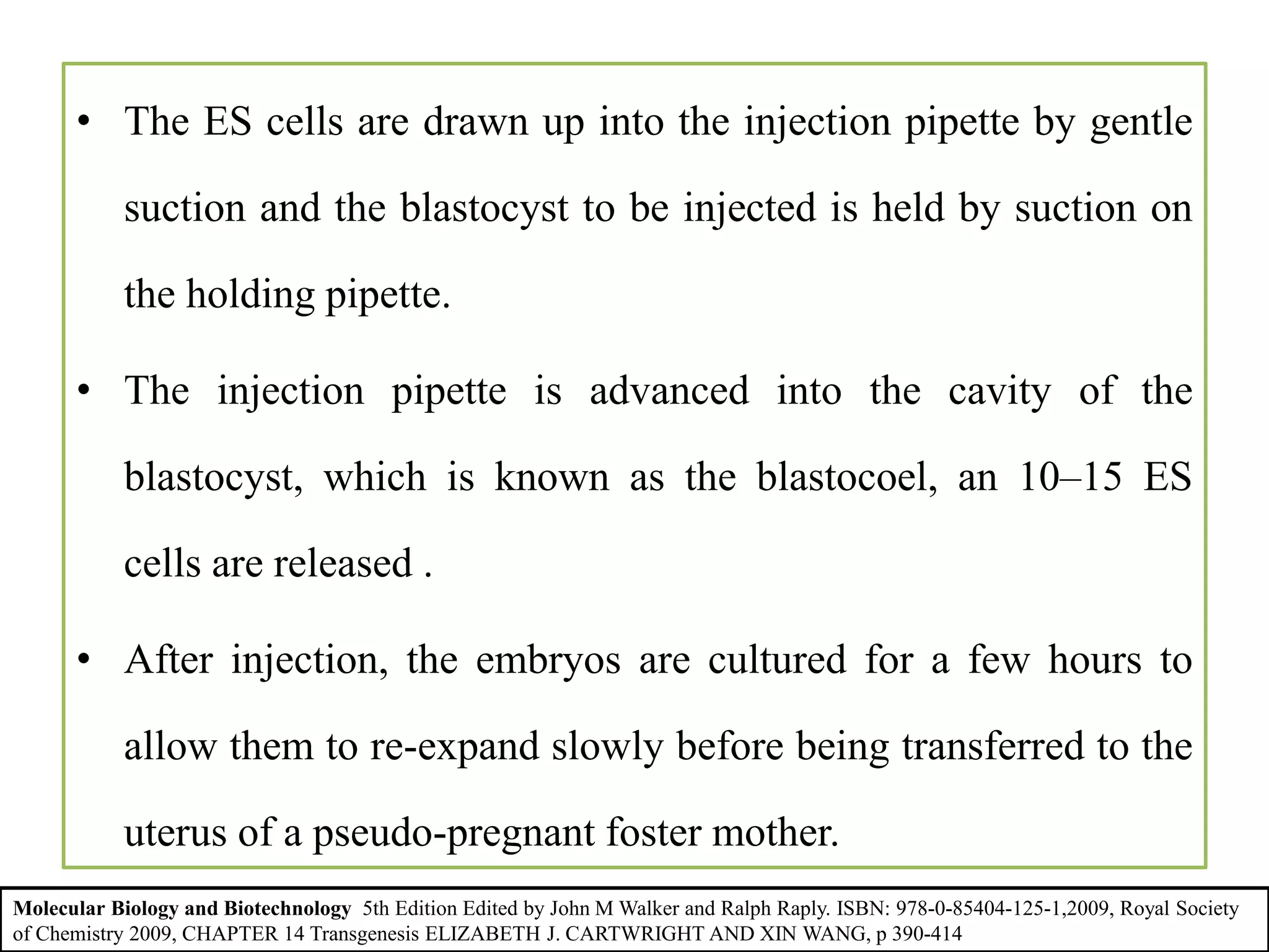 • The ES cells are drawn up into the injection pipette by gentle
suction and the blastocyst to be injected is held by suction on
the holding pipette.
• The injection pipette is advanced into the cavity of the
blastocyst, which is known as the blastocoel, an 10–15 ES
cells are released .
• After injection, the embryos are cultured for a few hours to
allow them to re-expand slowly before being transferred to the
uterus of a pseudo-pregnant foster mother.
• Pups should be born 17 days later.
Molecular Biology and Biotechnology 5th Edition Edited by John M Walker and Ralph Raply. ISBN: 978-0-85404-125-1,2009, Royal Society
of Chemistry 2009, CHAPTER 14 Transgenesis ELIZABETH J. CARTWRIGHT AND XIN WANG, p 390-414
 