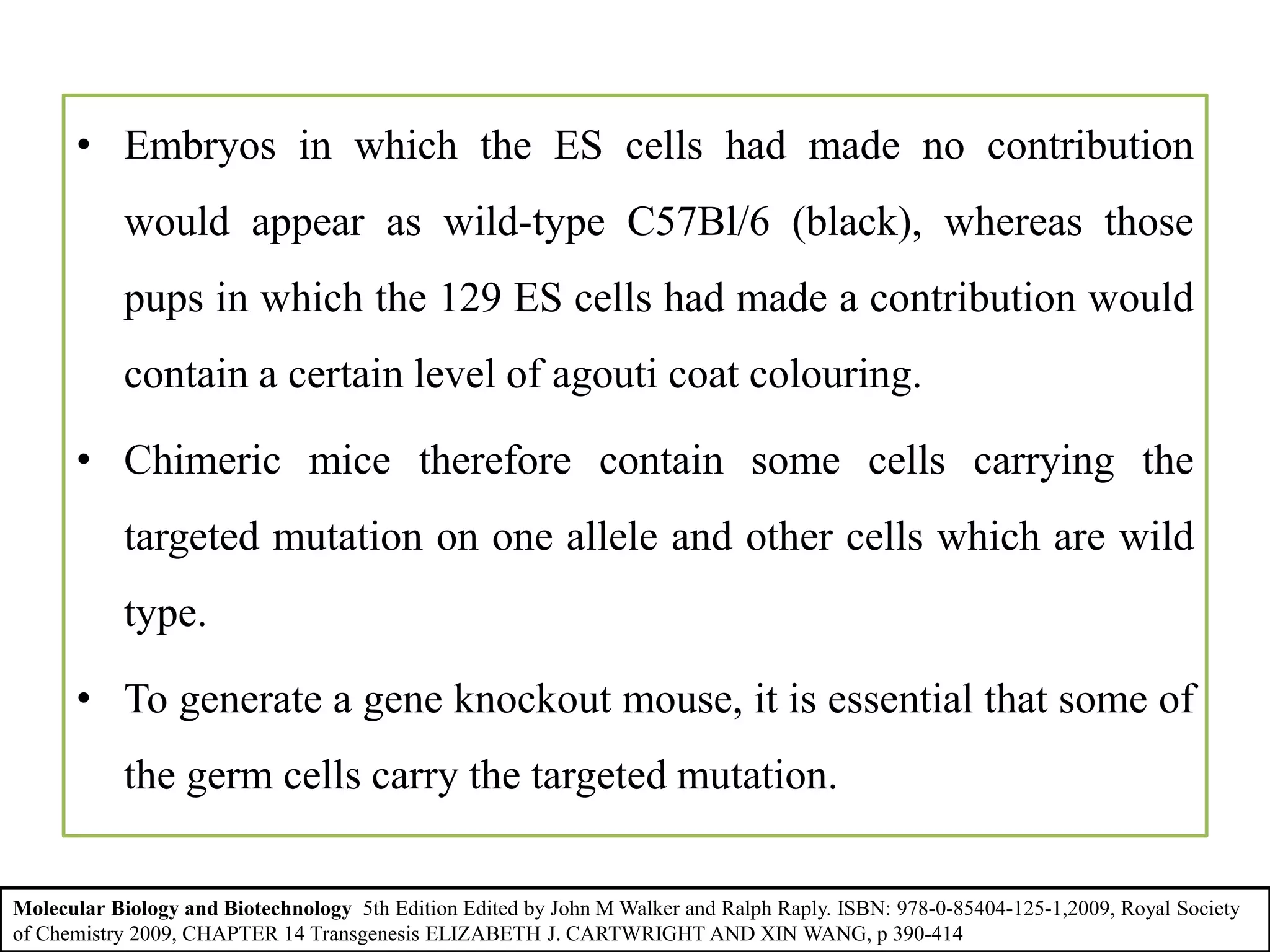 • Embryos in which the ES cells had made no contribution
would appear as wild-type C57Bl/6 (black), whereas those
pups in which the 129 ES cells had made a contribution would
contain a certain level of agouti coat colouring.
• Chimeric mice therefore contain some cells carrying the
targeted mutation on one allele and other cells which are wild
type.
• To generate a gene knockout mouse, it is essential that some of
the germ cells carry the targeted mutation.
Molecular Biology and Biotechnology 5th Edition Edited by John M Walker and Ralph Raply. ISBN: 978-0-85404-125-1,2009, Royal Society
of Chemistry 2009, CHAPTER 14 Transgenesis ELIZABETH J. CARTWRIGHT AND XIN WANG, p 390-414
 