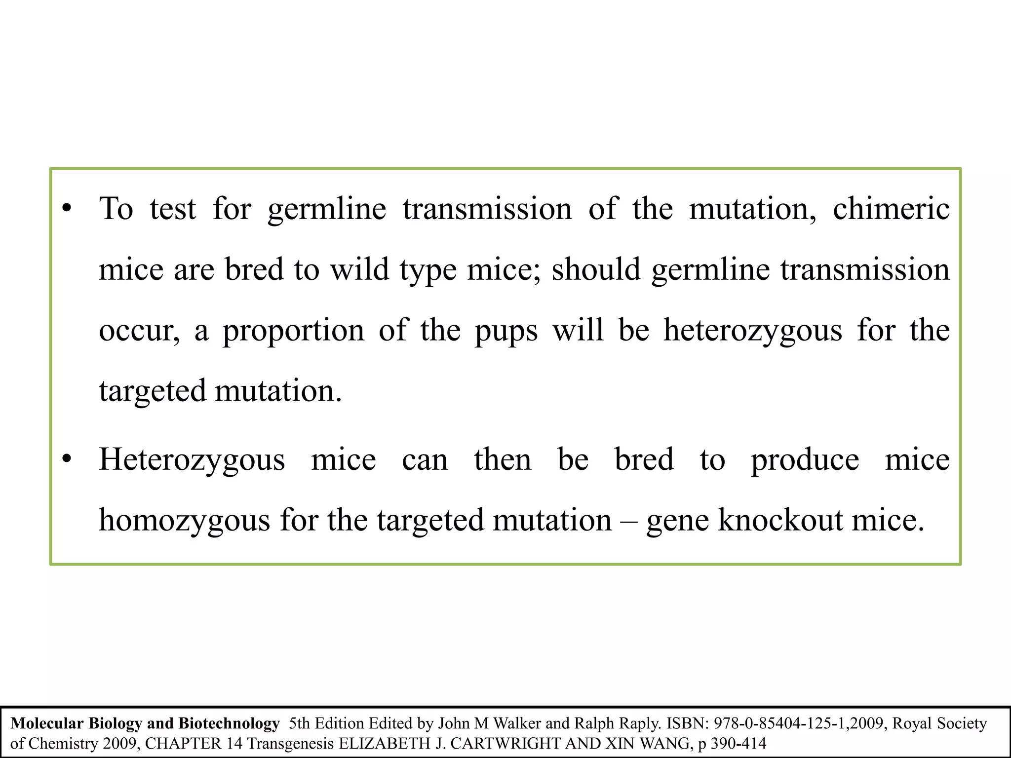 • To test for germline transmission of the mutation, chimeric
mice are bred to wild type mice; should germline transmission
occur, a proportion of the pups will be heterozygous for the
targeted mutation.
• Heterozygous mice can then be bred to produce mice
homozygous for the targeted mutation – gene knockout mice.
Molecular Biology and Biotechnology 5th Edition Edited by John M Walker and Ralph Raply. ISBN: 978-0-85404-125-1,2009, Royal Society
of Chemistry 2009, CHAPTER 14 Transgenesis ELIZABETH J. CARTWRIGHT AND XIN WANG, p 390-414
 