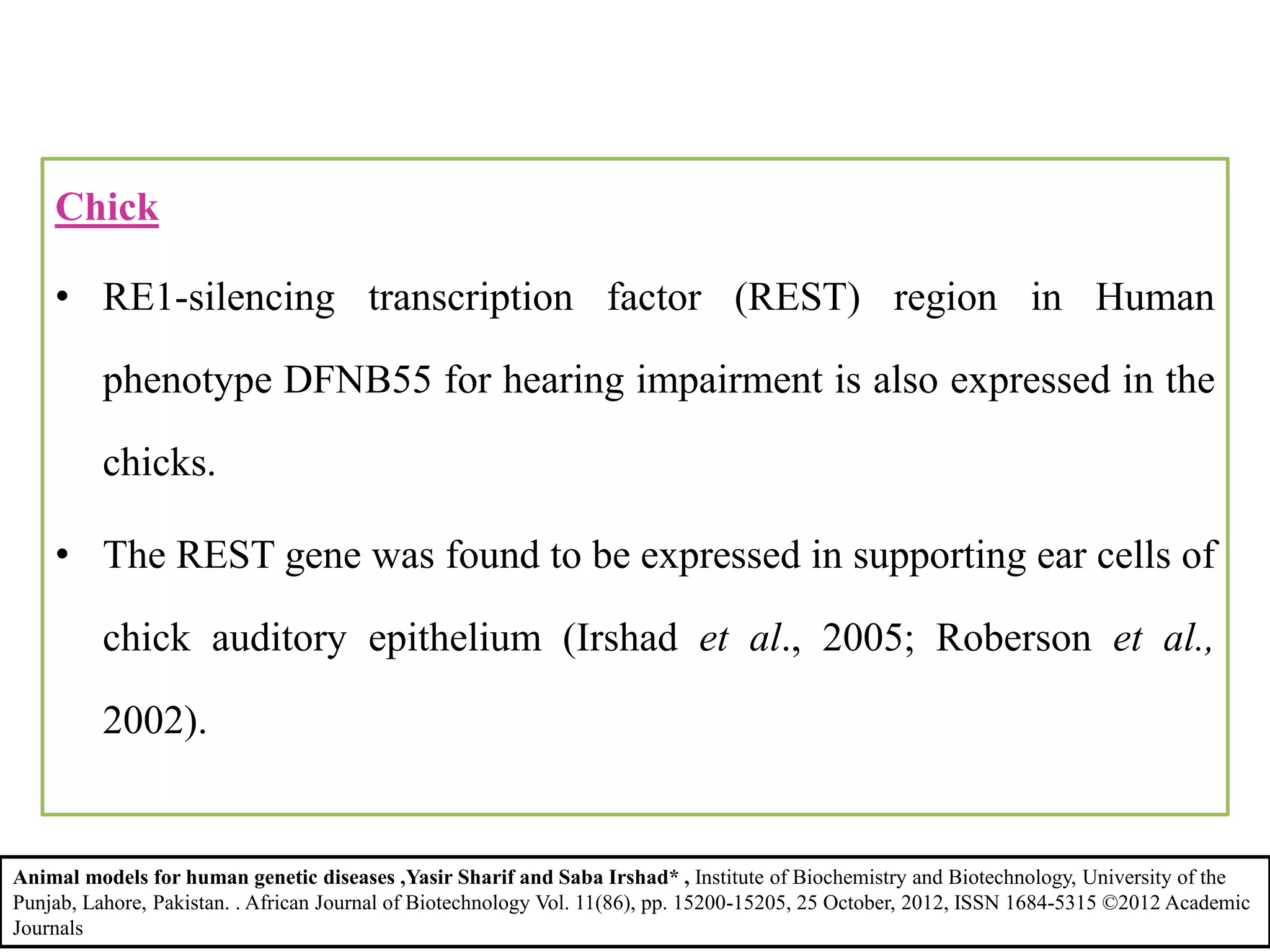 Chick
• RE1-silencing transcription factor (REST) region in Human
phenotype DFNB55 for hearing impairment is also expressed in the
chicks.
• The REST gene was found to be expressed in supporting ear cells of
chick auditory epithelium (Irshad et al., 2005; Roberson et al.,
2002).
Animal models for human genetic diseases ,Yasir Sharif and Saba Irshad* , Institute of Biochemistry and Biotechnology, University of the
Punjab, Lahore, Pakistan. . African Journal of Biotechnology Vol. 11(86), pp. 15200-15205, 25 October, 2012, ISSN 1684-5315 ©2012 Academic
Journals
 
