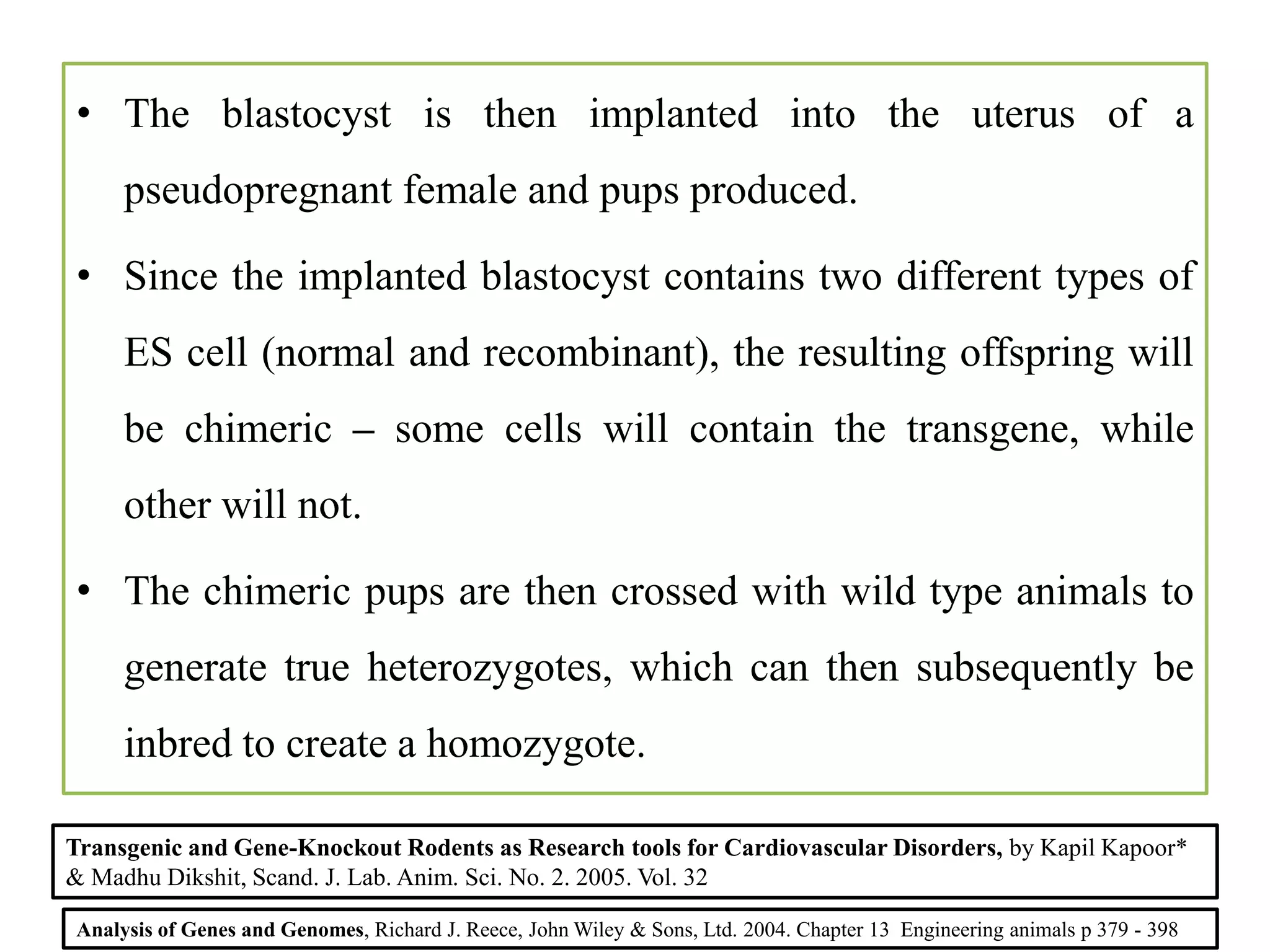 • The blastocyst is then implanted into the uterus of a
pseudopregnant female and pups produced.
• Since the implanted blastocyst contains two different types of
ES cell (normal and recombinant), the resulting offspring will
be chimeric – some cells will contain the transgene, while
other will not.
• The chimeric pups are then crossed with wild type animals to
generate true heterozygotes, which can then subsequently be
inbred to create a homozygote.
Analysis of Genes and Genomes, Richard J. Reece, John Wiley & Sons, Ltd. 2004. Chapter 13 Engineering animals p 379 - 398
Transgenic and Gene-Knockout Rodents as Research tools for Cardiovascular Disorders, by Kapil Kapoor*
& Madhu Dikshit, Scand. J. Lab. Anim. Sci. No. 2. 2005. Vol. 32
 