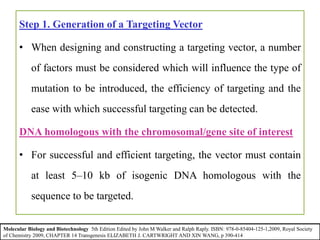 Step 1. Generation of a Targeting Vector
• When designing and constructing a targeting vector, a number
of factors must be considered which will influence the type of
mutation to be introduced, the efficiency of targeting and the
ease with which successful targeting can be detected.
DNA homologous with the chromosomal/gene site of interest
• For successful and efficient targeting, the vector must contain
at least 5–10 kb of isogenic DNA homologous with the
sequence to be targeted.
Molecular Biology and Biotechnology 5th Edition Edited by John M Walker and Ralph Raply. ISBN: 978-0-85404-125-1,2009, Royal Society
of Chemistry 2009, CHAPTER 14 Transgenesis ELIZABETH J. CARTWRIGHT AND XIN WANG, p 390-414
 