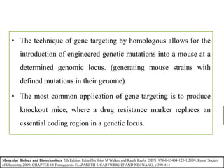 • The technique of gene targeting by homologous allows for the
introduction of engineered genetic mutations into a mouse at a
determined genomic locus. (generating mouse strains with
defined mutations in their genome)
• The most common application of gene targeting is to produce
knockout mice, where a drug resistance marker replaces an
essential coding region in a genetic locus.
Molecular Biology and Biotechnology 5th Edition Edited by John M Walker and Ralph Raply. ISBN: 978-0-85404-125-1,2009, Royal Society
of Chemistry 2009, CHAPTER 14 Transgenesis ELIZABETH J. CARTWRIGHT AND XIN WANG, p 390-414
 