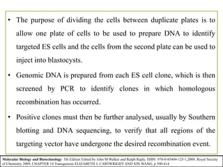 • The purpose of dividing the cells between duplicate plates is to
allow one plate of cells to be used to prepare DNA to identify
targeted ES cells and the cells from the second plate can be used to
inject into blastocysts.
• Genomic DNA is prepared from each ES cell clone, which is then
screened by PCR to identify clones in which homologous
recombination has occurred.
• Positive clones must then be further analysed, usually by Southern
blotting and DNA sequencing, to verify that all regions of the
targeting vector have undergone the desired recombination event.
Molecular Biology and Biotechnology 5th Edition Edited by John M Walker and Ralph Raply. ISBN: 978-0-85404-125-1,2009, Royal Society
of Chemistry 2009, CHAPTER 14 Transgenesis ELIZABETH J. CARTWRIGHT AND XIN WANG, p 390-414
 