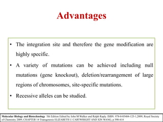 Advantages
• The integration site and therefore the gene modification are
highly specific.
• A variety of mutations can be achieved including null
mutations (gene knockout), deletion/rearrangement of large
regions of chromosomes, site-specific mutations.
• Recessive alleles can be studied.
Molecular Biology and Biotechnology 5th Edition Edited by John M Walker and Ralph Raply. ISBN: 978-0-85404-125-1,2009, Royal Society
of Chemistry 2009, CHAPTER 14 Transgenesis ELIZABETH J. CARTWRIGHT AND XIN WANG, p 390-414
 