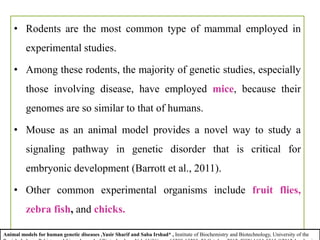 • Rodents are the most common type of mammal employed in
experimental studies.
• Among these rodents, the majority of genetic studies, especially
those involving disease, have employed mice, because their
genomes are so similar to that of humans.
• Mouse as an animal model provides a novel way to study a
signaling pathway in genetic disorder that is critical for
embryonic development (Barrott et al., 2011).
• Other common experimental organisms include fruit flies,
zebra fish, and chicks.
Animal models for human genetic diseases ,Yasir Sharif and Saba Irshad* , Institute of Biochemistry and Biotechnology, University of the
 