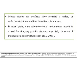 • Mouse models for deafness have revealed a variety of
defective structures and functions found in humans.
• In recent years, it has become essential to use mouse models as
a tool for studying genetic diseases, especially in cases of
monogenic disorders (Ganeshan et al., 2010).
Animal models for human genetic diseases ,Yasir Sharif and Saba Irshad* , Institute of Biochemistry and Biotechnology, University of the
Punjab, Lahore, Pakistan. . African Journal of Biotechnology Vol. 11(86), pp. 15200-15205, 25 October, 2012, ISSN 1684-5315 ©2012 Academic
Journals
 