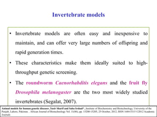 Invertebrate models
• Invertebrate models are often easy and inexpensive to
maintain, and can offer very large numbers of offspring and
rapid generation times.
• These characteristics make them ideally suited to high-
throughput genetic screening.
• The roundworm Caenorhabditis elegans and the fruit fly
Drosophila melanogaster are the two most widely studied
invertebrates (Segalat, 2007).
Animal models for human genetic diseases ,Yasir Sharif and Saba Irshad* , Institute of Biochemistry and Biotechnology, University of the
Punjab, Lahore, Pakistan. . African Journal of Biotechnology Vol. 11(86), pp. 15200-15205, 25 October, 2012, ISSN 1684-5315 ©2012 Academic
Journals
 
