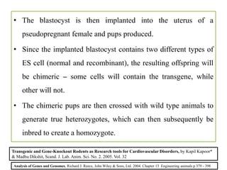 • The blastocyst is then implanted into the uterus of a
pseudopregnant female and pups produced.
• Since the implanted blastocyst contains two different types of
ES cell (normal and recombinant), the resulting offspring will
be chimeric – some cells will contain the transgene, while
other will not.
• The chimeric pups are then crossed with wild type animals to
generate true heterozygotes, which can then subsequently be
inbred to create a homozygote.
Analysis of Genes and Genomes, Richard J. Reece, John Wiley & Sons, Ltd. 2004. Chapter 13 Engineering animals p 379 - 398
Transgenic and Gene-Knockout Rodents as Research tools for Cardiovascular Disorders, by Kapil Kapoor*
& Madhu Dikshit, Scand. J. Lab. Anim. Sci. No. 2. 2005. Vol. 32
 