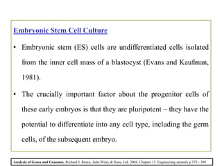 Embryonic Stem Cell Culture
• Embryonic stem (ES) cells are undifferentiated cells isolated
from the inner cell mass of a blastocyst (Evans and Kaufman,
1981).
• The crucially important factor about the progenitor cells of
these early embryos is that they are pluripotent – they have the
potential to differentiate into any cell type, including the germ
cells, of the subsequent embryo.
Analysis of Genes and Genomes, Richard J. Reece, John Wiley & Sons, Ltd. 2004. Chapter 13 Engineering animals p 379 - 398
 