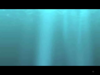 Consulting and Technology  Transfer