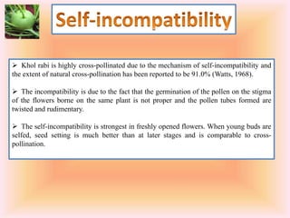  Khol rabi is highly cross-pollinated due to the mechanism of self-incompatibility and
the extent of natural cross-pollination has been reported to be 91.0% (Watts, 1968).
 The incompatibility is due to the fact that the germination of the pollen on the stigma
of the flowers borne on the same plant is not proper and the pollen tubes formed are
twisted and rudimentary.
 The self-incompatibility is strongest in freshly opened flowers. When young buds are
selfed, seed setting is much better than at later stages and is comparable to cross-
pollination.
 