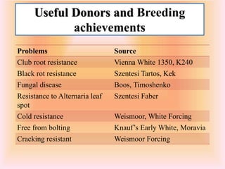 Useful Donors and Breeding
achievements
Problems Source
Club root resistance Vienna White 1350, K240
Black rot resistance Szentesi Tartos, Kek
Fungal disease Boos, Timoshenko
Resistance to Alternaria leaf
spot
Szentesi Faber
Cold resistance Weismoor, White Forcing
Free from bolting Knauf’s Early White, Moravia
Cracking resistant Weismoor Forcing
 