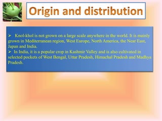 Knol-khol is not grown on a large scale anywhere in the world. It is mainly
grown in Mediterranean region, West Europe, North America, the Near East,
Japan and India.
 In India, it is a popular crop in Kashmir Valley and is also cultivated in
selected pockets of West Bengal, Uttar Pradesh, Himachal Pradesh and Madhya
Pradesh.
 