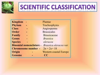 Kingdom - Plantae
Phylum - Tracheophytes
Class - Angiosperms
Order - Brassicales
Family - Brassicaceae
Genus - Brassica
Species - oleracea
Binomial nomenclature - Brassica oleracea var.
Chromosome number - 2n = 2x= 18
Origin - Western coastal Europe
Genome - CC
 