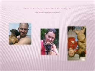 Chacha was born last year, in 2014. Chacha likes travelling , too.
And she likes walking in the parks.
 