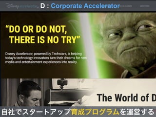 D : Corporate Accelerator
自社でスタートアップ育成プログラムを運営する
 