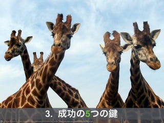 Photo by Gráinne O'Reilly Creative Commons Attribution-NonCommercial License https://www.flickr.com/photos/bobbygreg/168206195
3. 成功の5つの
 