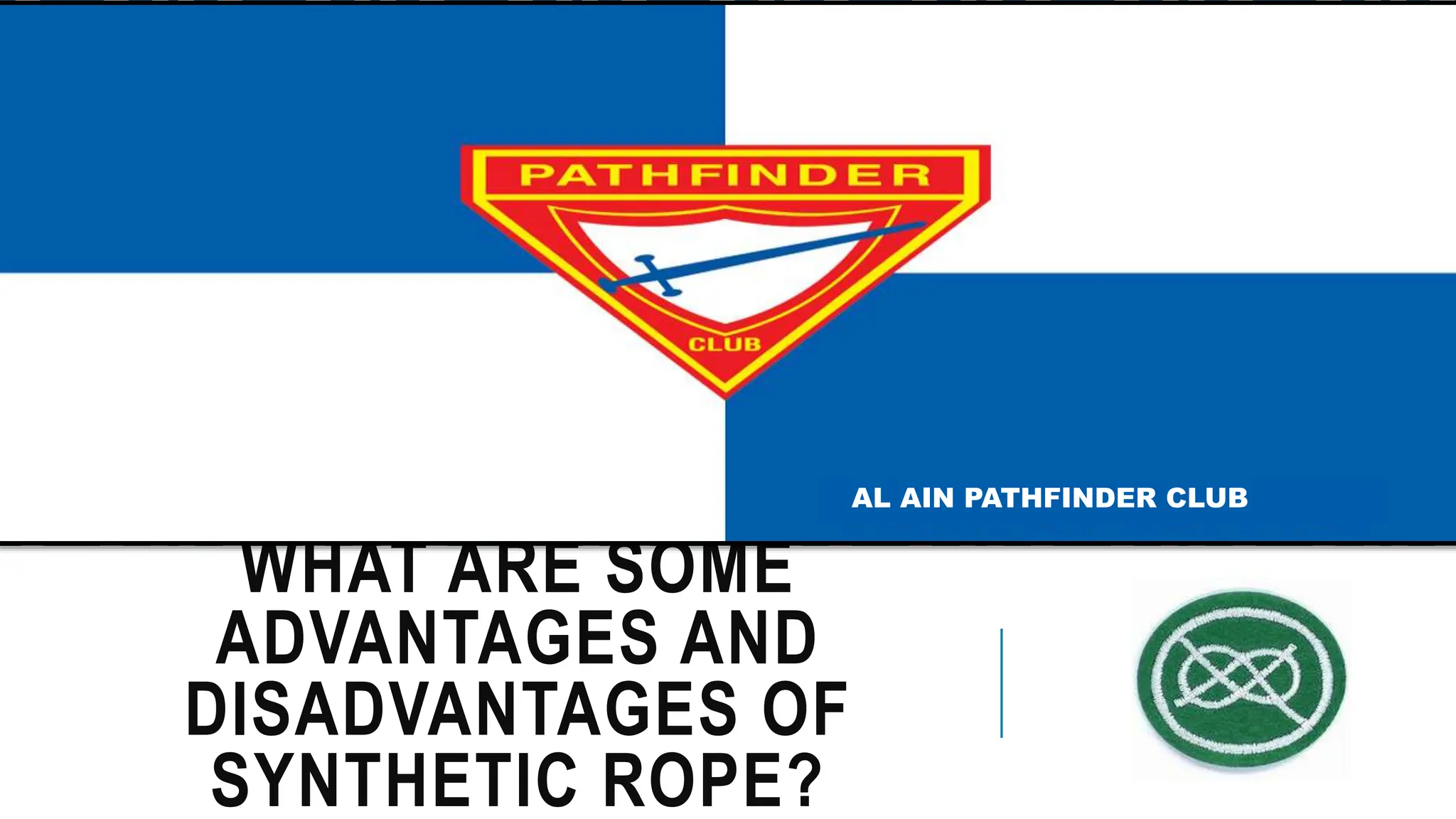 Seventh-day Adventist Church visual data 3