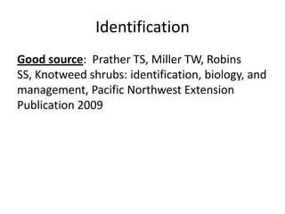 Identification
Good source: Prather TS, Miller TW, Robins
SS, Knotweed shrubs: identification, biology, and
management, Pacific Northwest Extension
Publication 2009
 