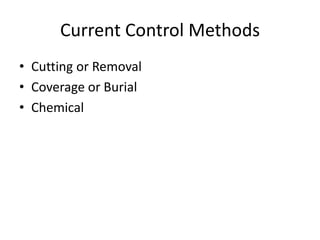 Current Control Methods
• Cutting or Removal
• Coverage or Burial
• Chemical
 