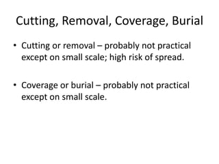 Cutting, Removal, Coverage, Burial
• Cutting or removal – probably not practical
  except on small scale; high risk of spread.

• Coverage or burial – probably not practical
  except on small scale.
 