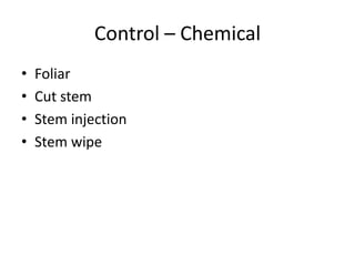 Control – Chemical
•   Foliar
•   Cut stem
•   Stem injection
•   Stem wipe
 