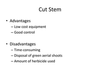 Cut Stem
• Advantages
  – Low cost equipment
  – Good control


• Disadvantages
  – Time-consuming
  – Disposal of green aerial shoots
  – Amount of herbicide used
 