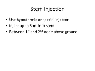 Stem Injection
• Use hypodermic or special injector
• Inject up to 5 ml into stem
• Between 1st and 2nd node above ground
 