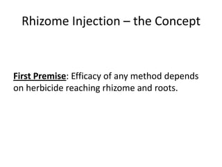 Rhizome Injection – the Concept


First Premise: Efficacy of any method depends
on herbicide reaching rhizome and roots.
 