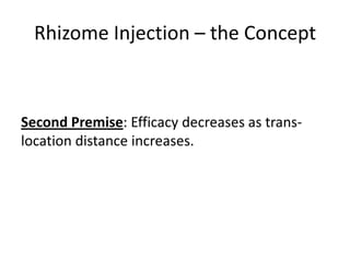 Rhizome Injection – the Concept



Second Premise: Efficacy decreases as trans-
location distance increases.
 