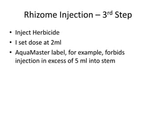 Rhizome Injection – 3rd Step
• Inject Herbicide
• I set dose at 2ml
• AquaMaster label, for example, forbids
  injection in excess of 5 ml into stem
 