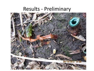 Results - Preliminary
 