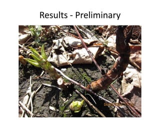 Results - Preliminary
 