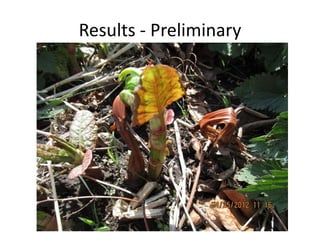 Results - Preliminary
 